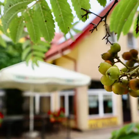 게스트하우스 Tawerna Murena