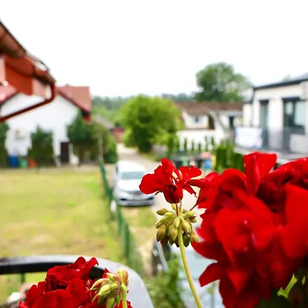 게스트하우스 Tawerna Murena